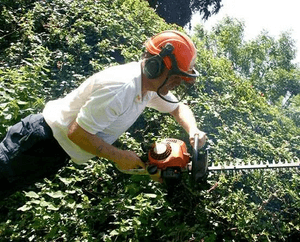 Hedge trimming